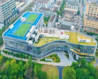 é�޺�������������