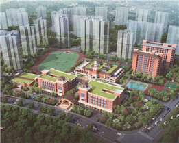  ���Ϲ�����������ѧ