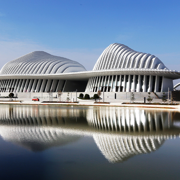 �����Ļ���������