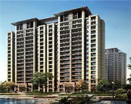 �Ϻ���Ʒ��ˮ��������Ŀ