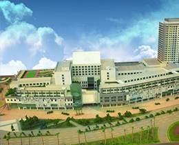 ˳�¿���Ƶ�