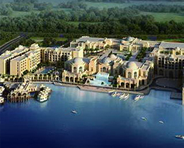 �Ӱ�ʨ�Ӻ�����������Ƶ�